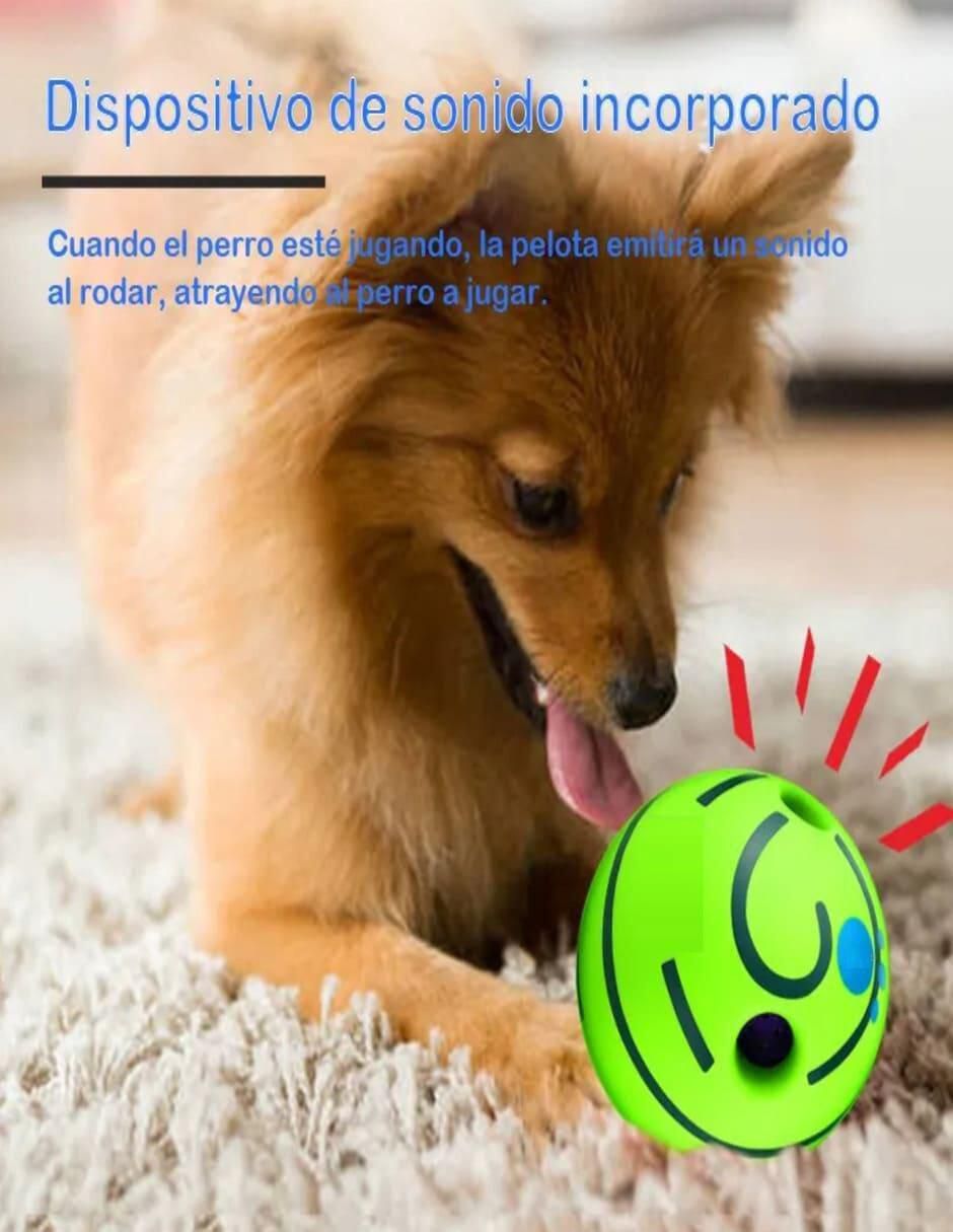 Pelota para perro 5