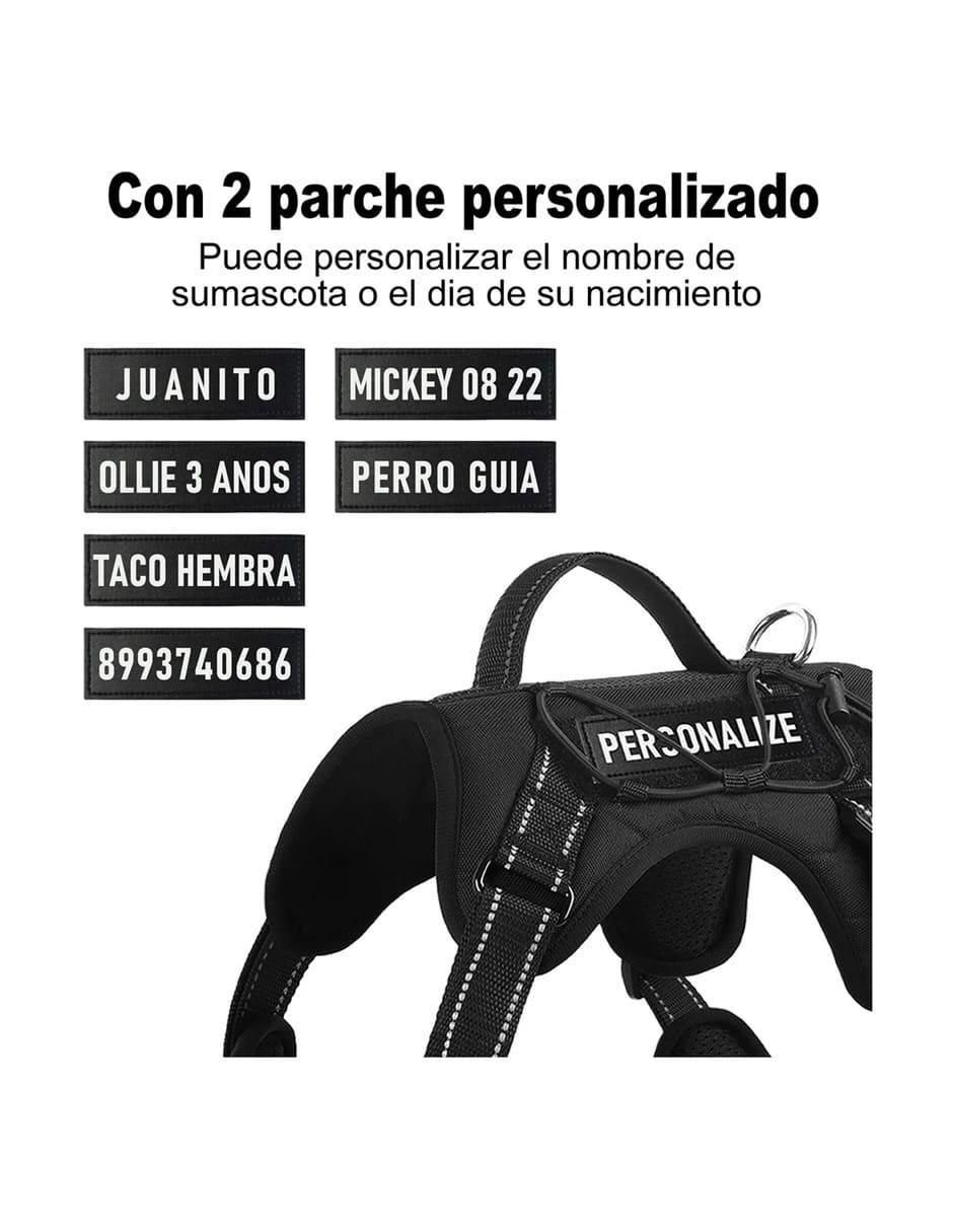 Arnés y correa para perro 2