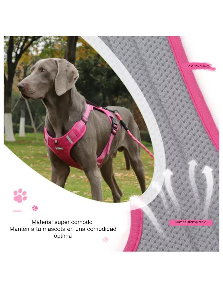 Arnés y correa para perro 4