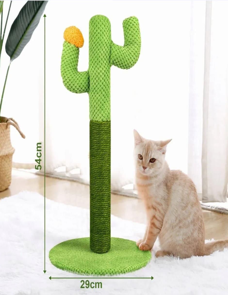 Rascador para gato 6