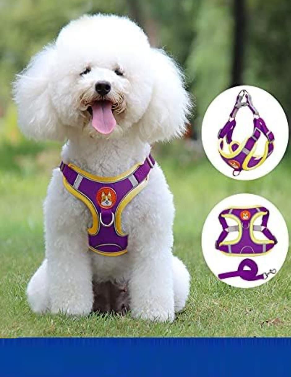 Pechera para perro y gato 5