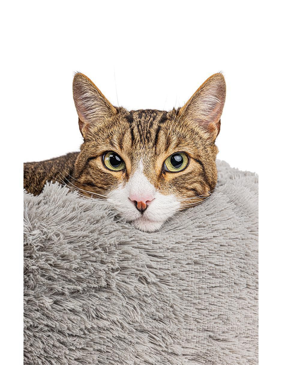 Cama para perro y gato 13