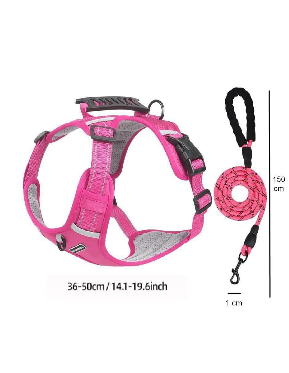 Pechera para perro 5