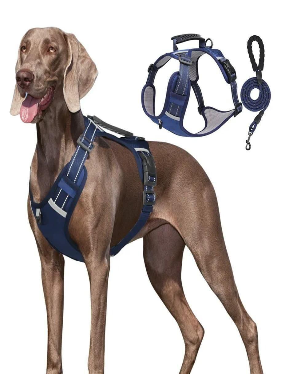Pechera para perro 3