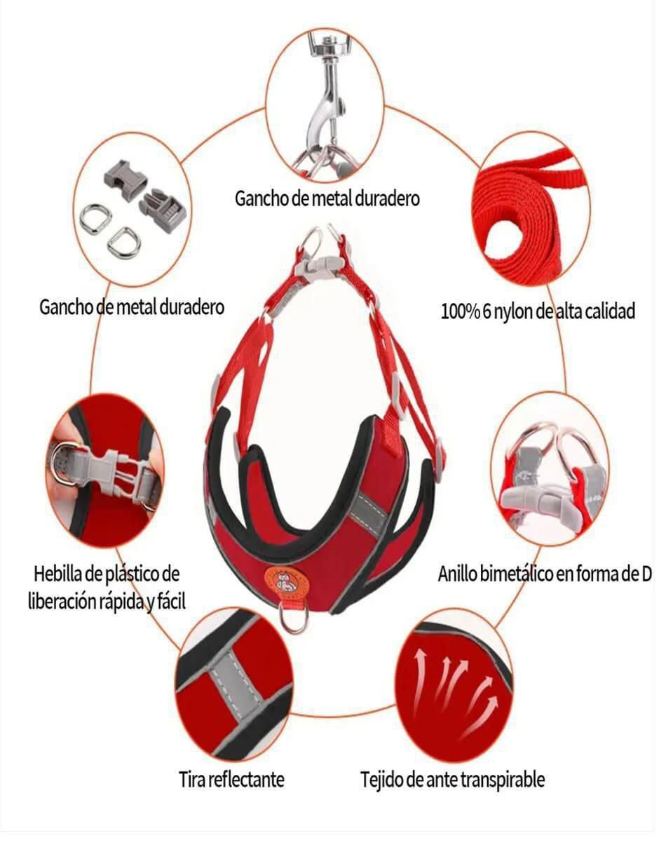 Pechera para perro y gato 2
