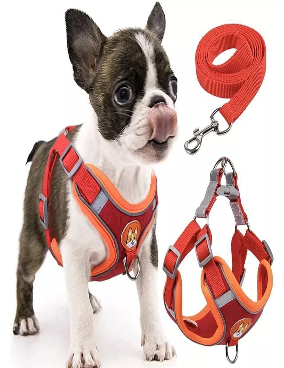 Pechera para perro y gato 5