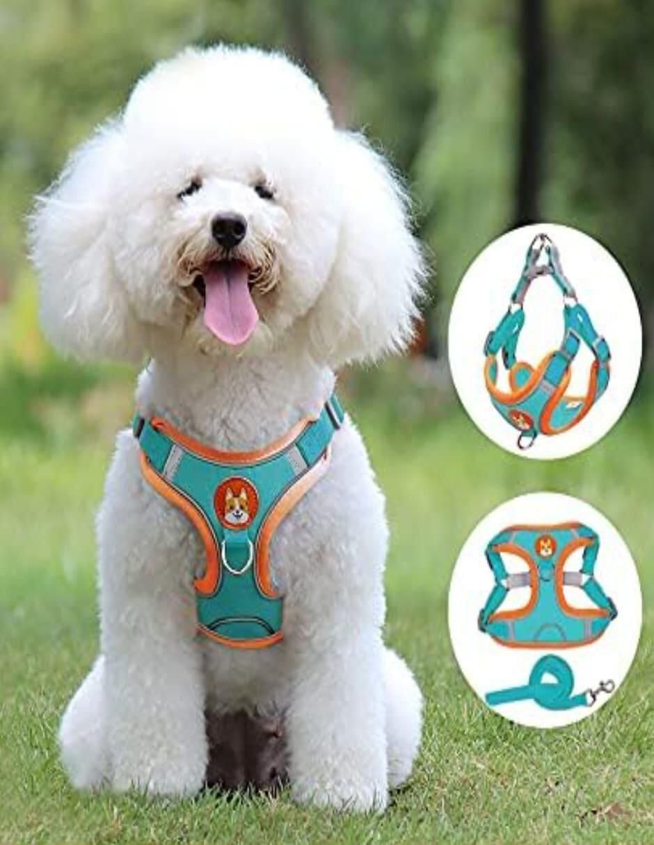 Pechera para perro y gato 2
