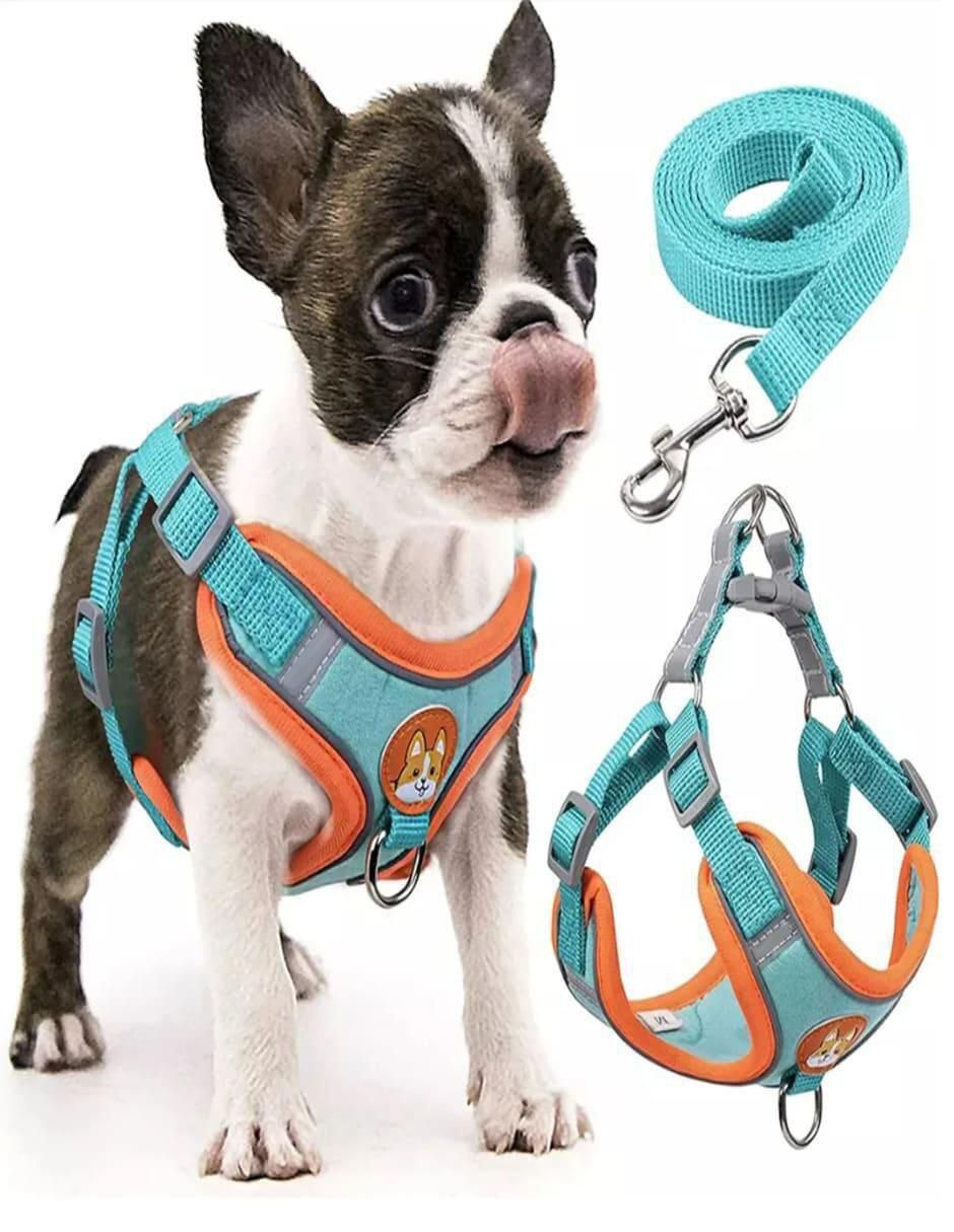 Pechera para perro y gato 3