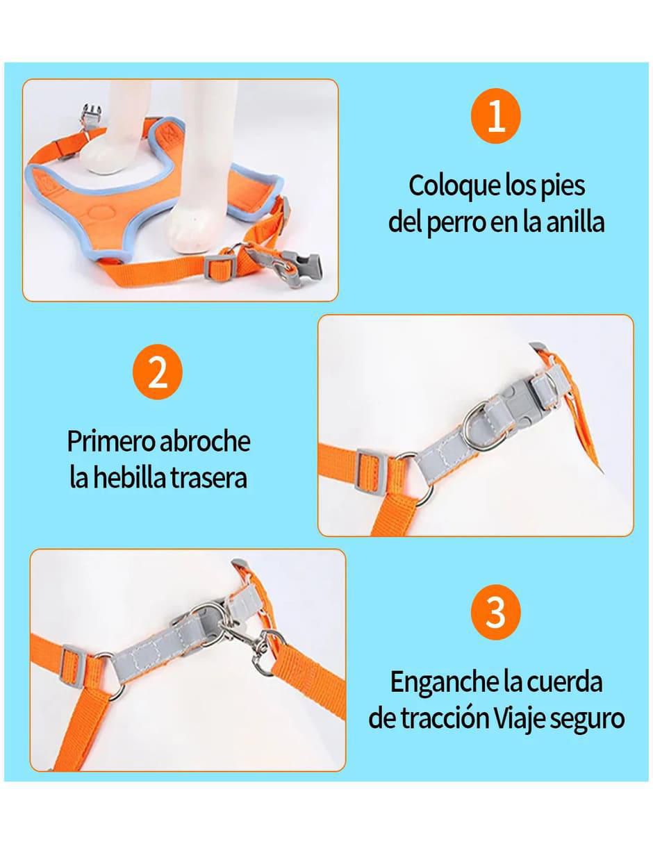 Pechera antitirones para perro 2