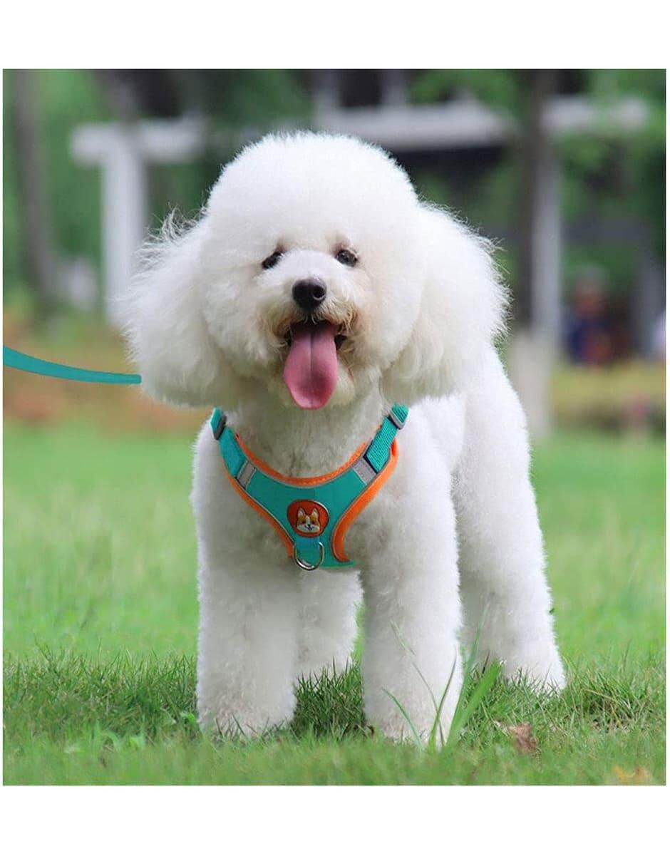 Pechera antitirones para perro 3