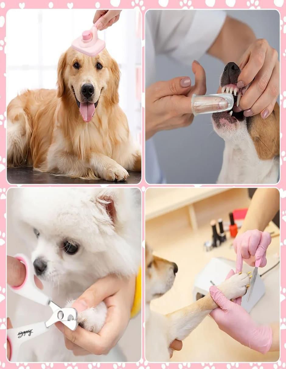 Set cepillo para perro y gato 4