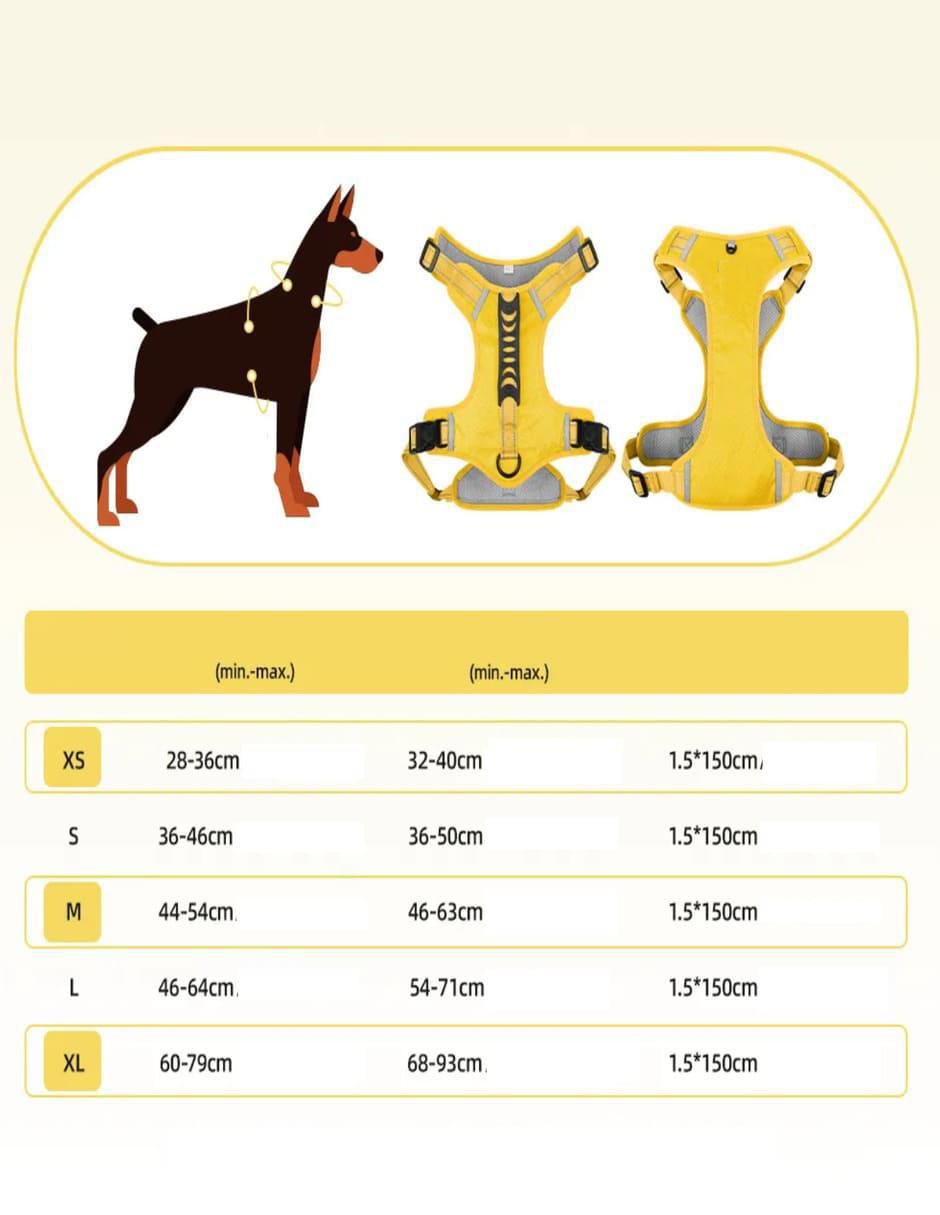 Pechera para perro 2