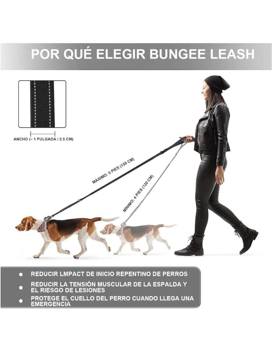 Correa para perro 3