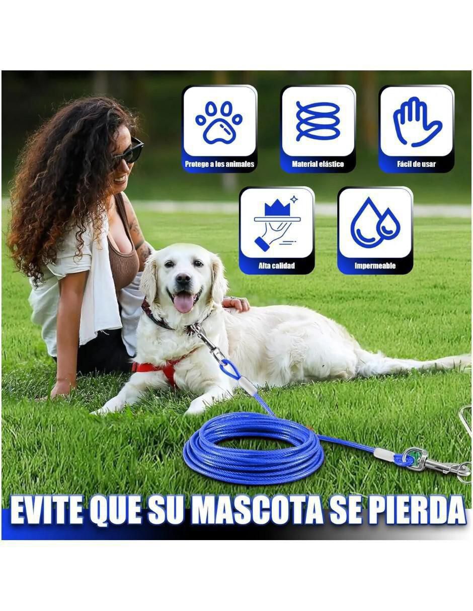 Correa para perro 2