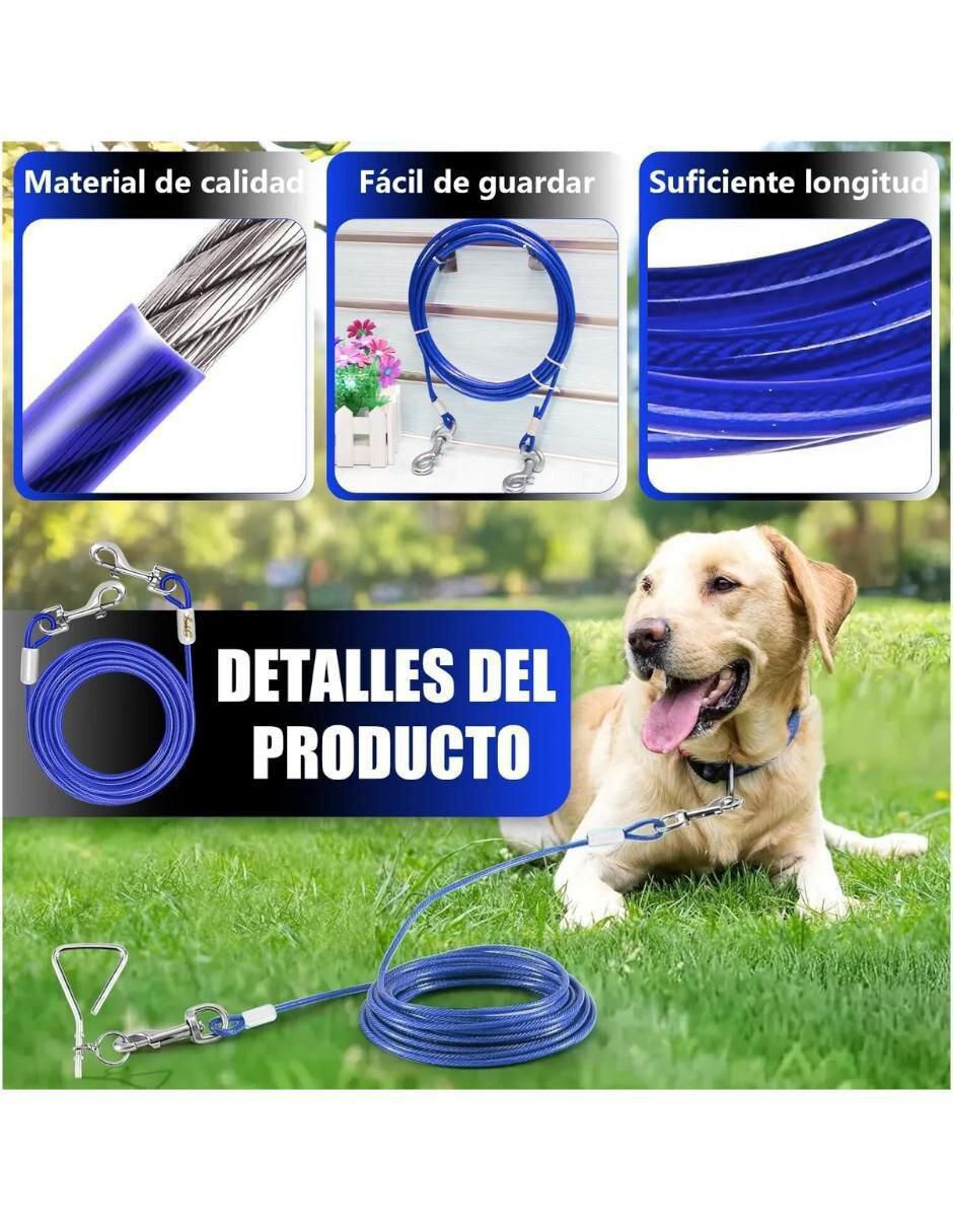 Correa para perro 4