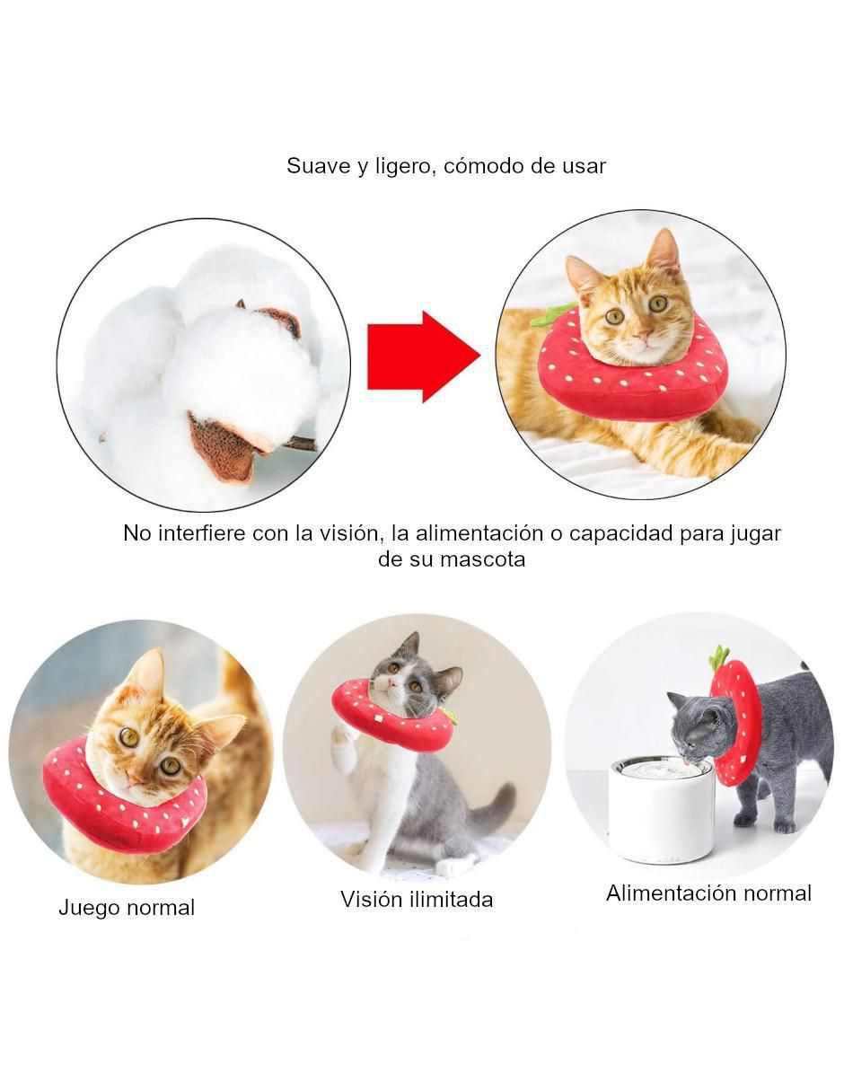 Collar isabelino para gato 3