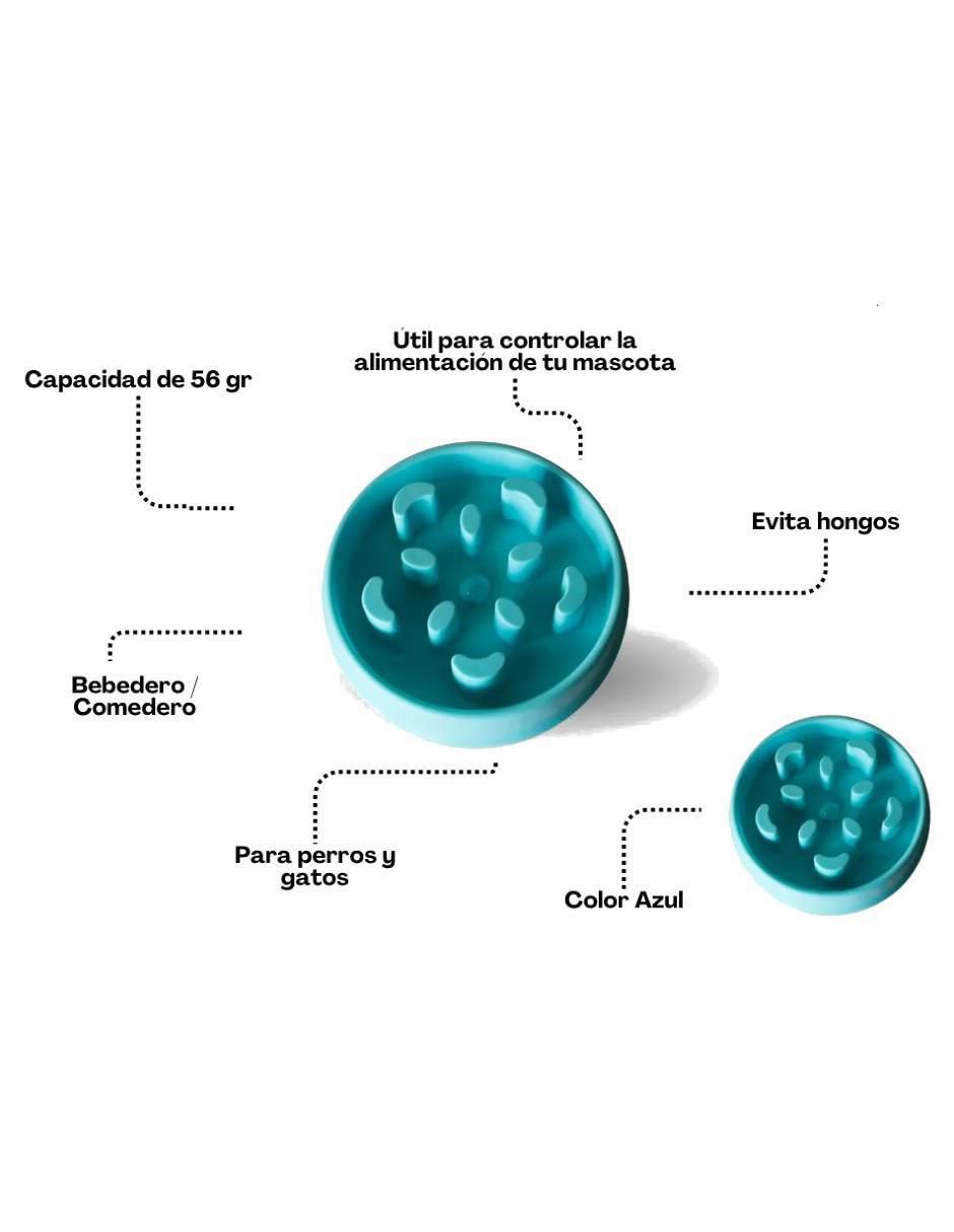 Plato para perro 2