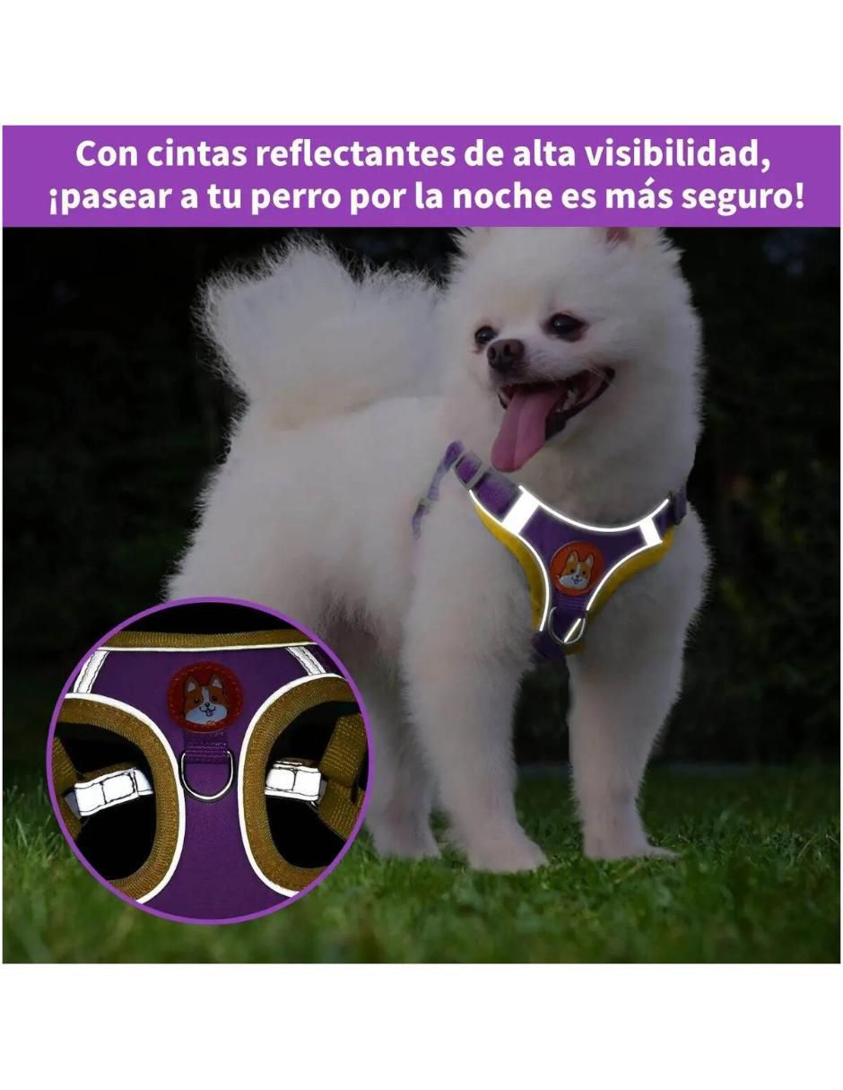 Arnés y correa de nylon para perro 3