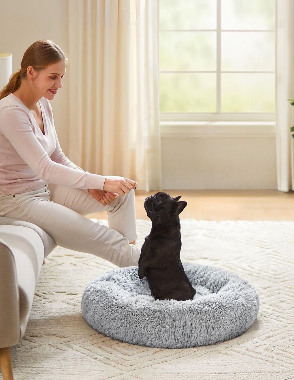 Cama para perro