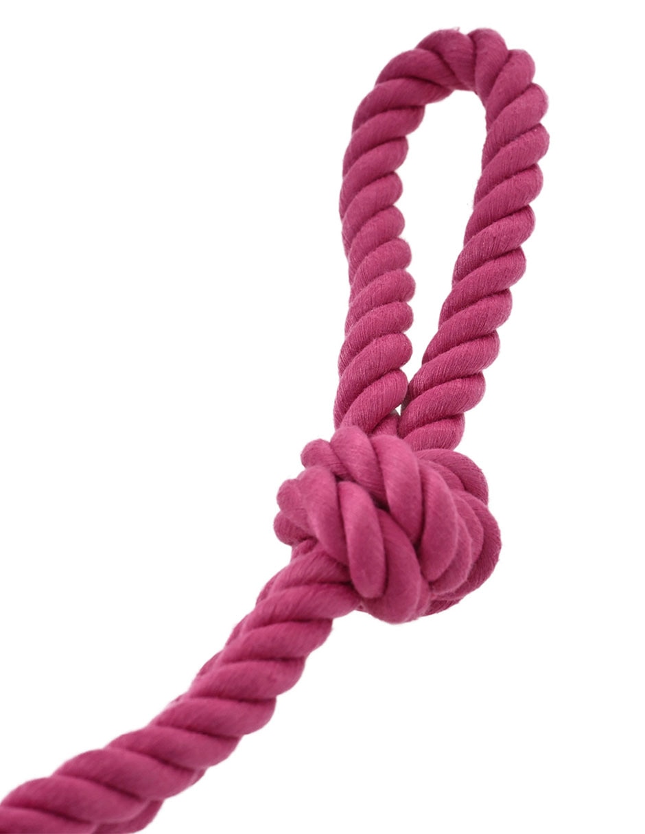 JUGUETE CON CUERDA ZOOPET BASI, FUCSIA