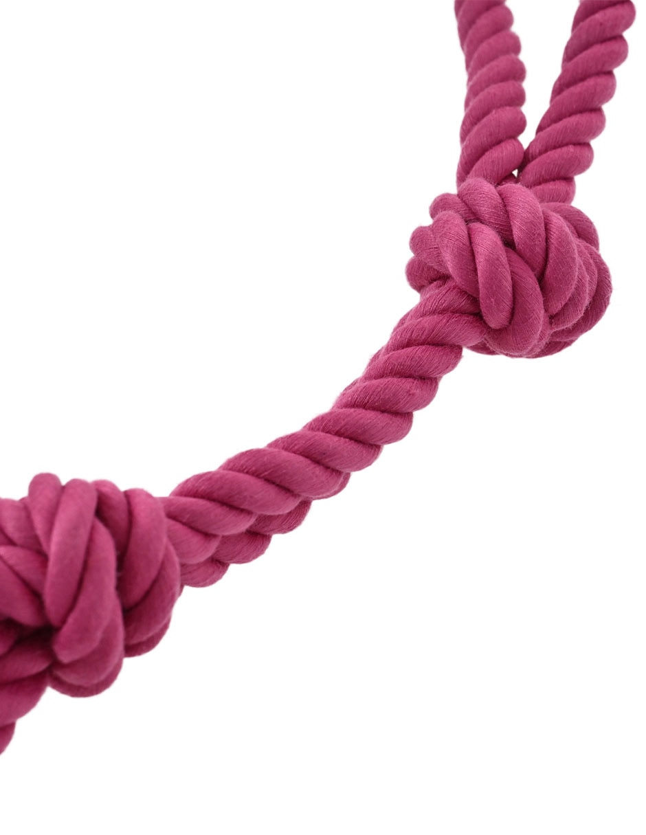 JUGUETE CON CUERDA ZOOPET BASI, FUCSIA