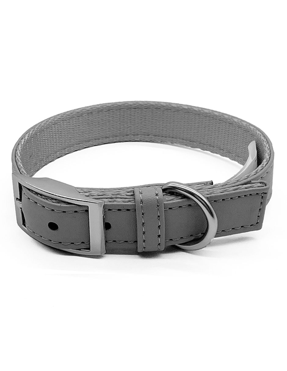 Collar para perro
