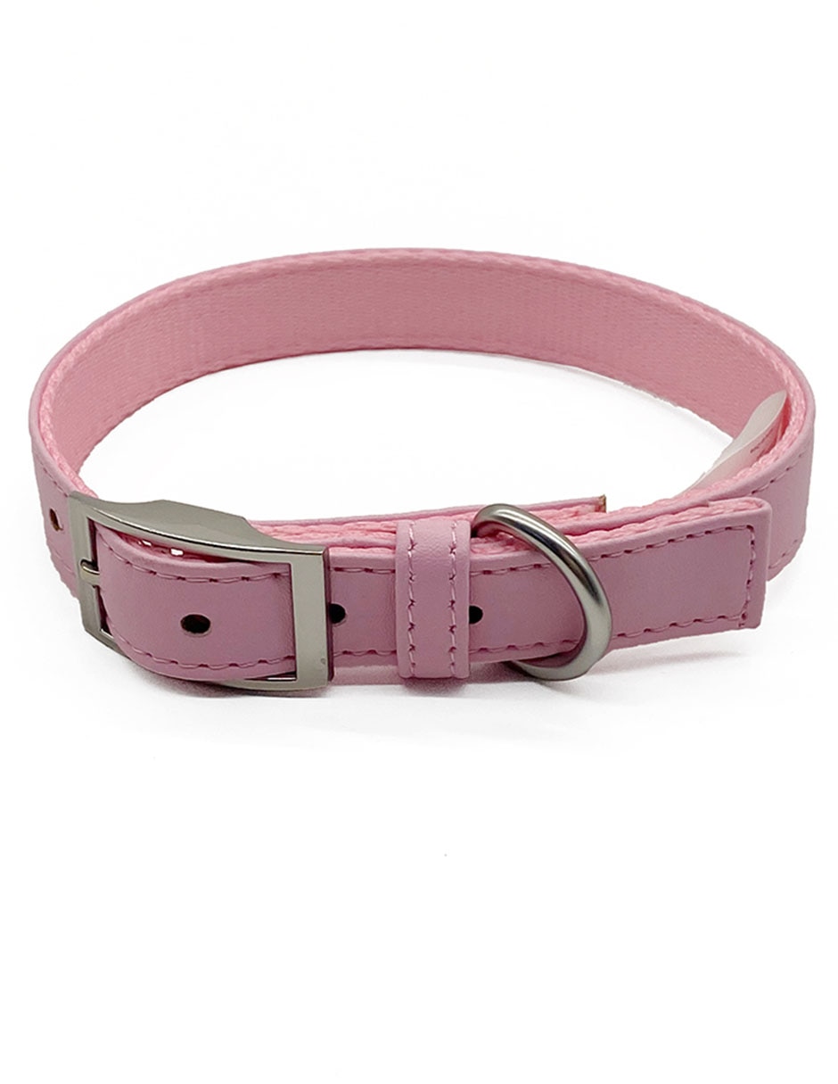 Collar para perro