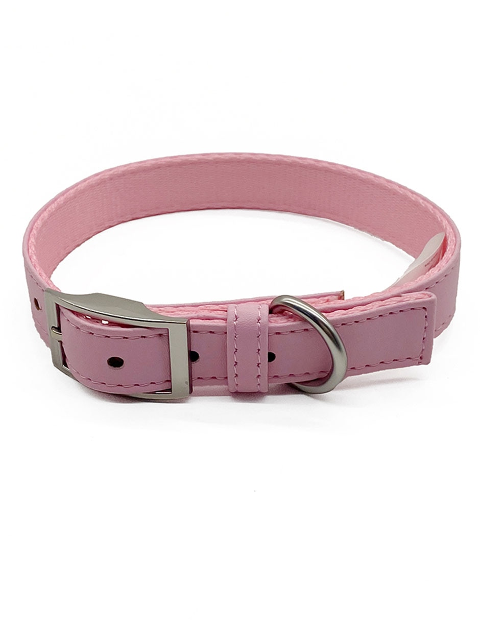 Collar para perro