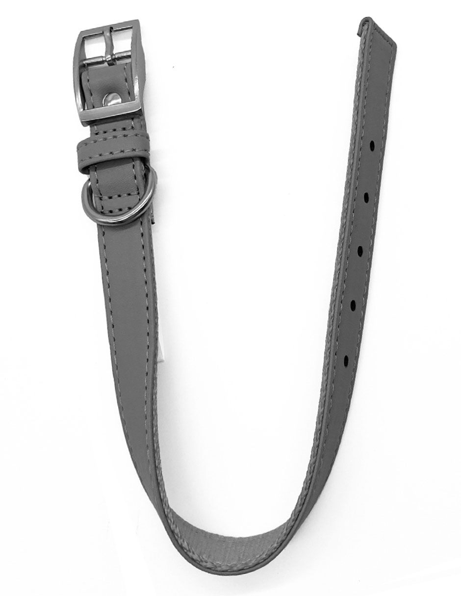Collar para perro 2