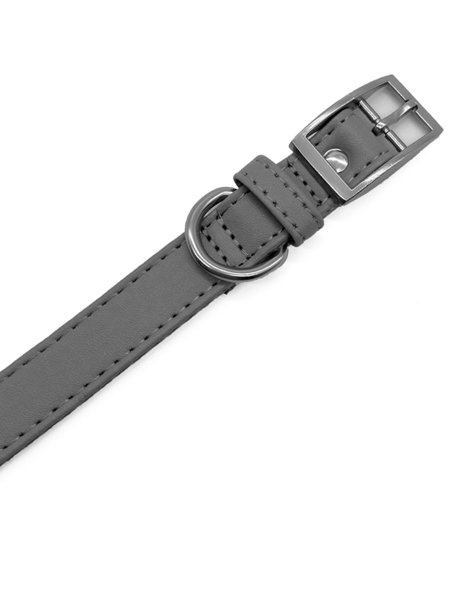 Collar para perro 4