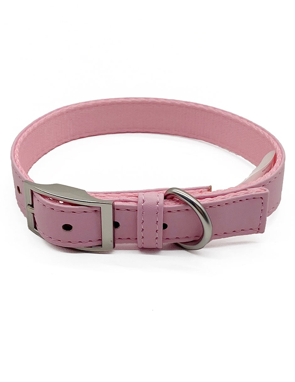 Collar para perro