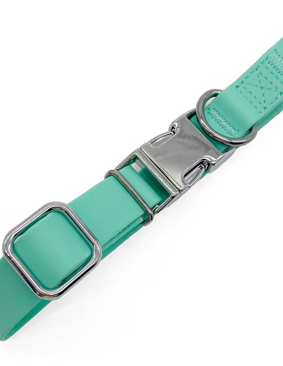 COLLAR ZOOPET SPRING, CH, VERDE AZULADO