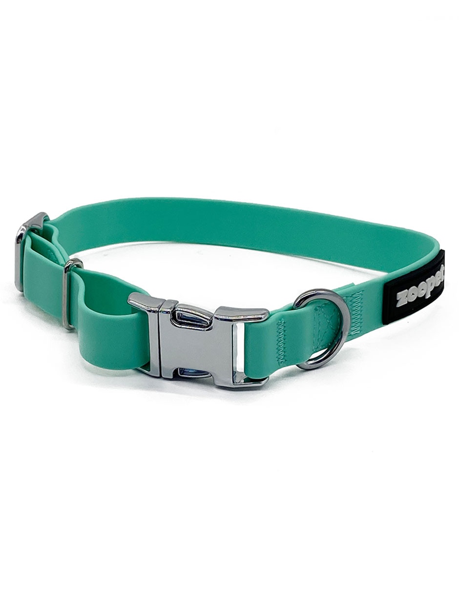 Collar para perro 1