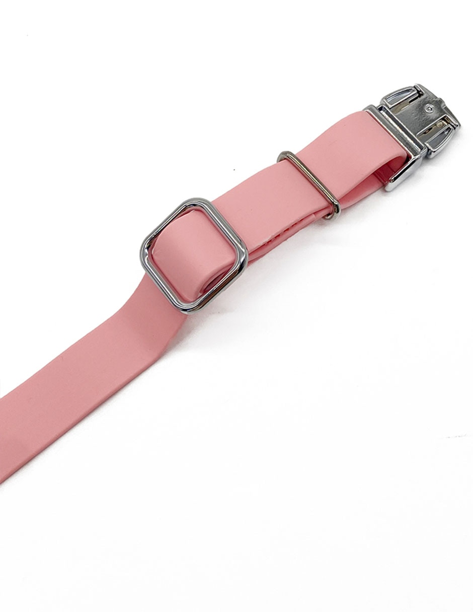 Collar para perro 4