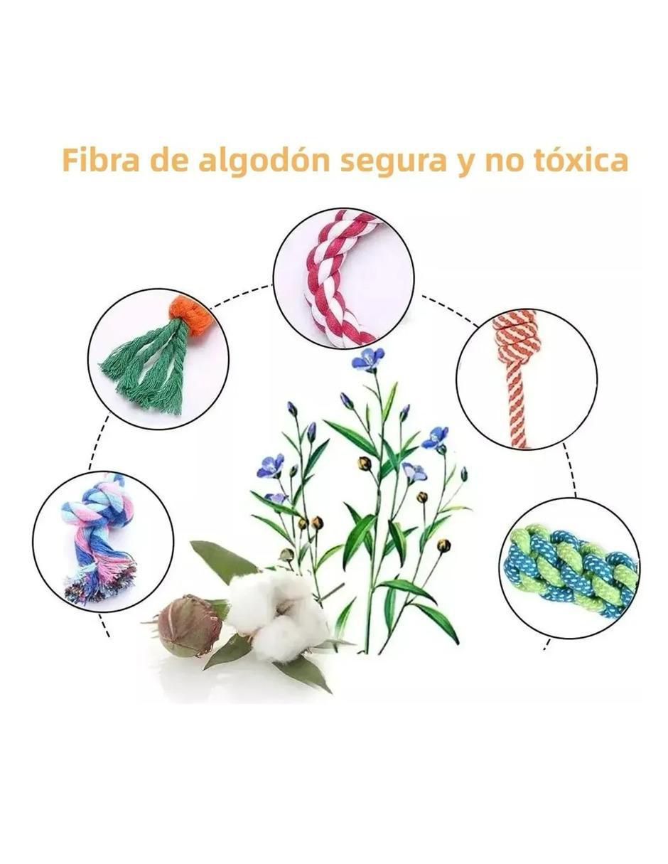 Kit de juguetes para perro 3