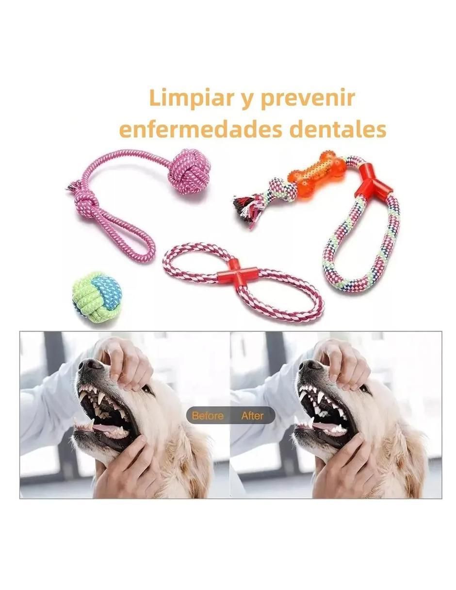 Kit de juguetes para perro 4