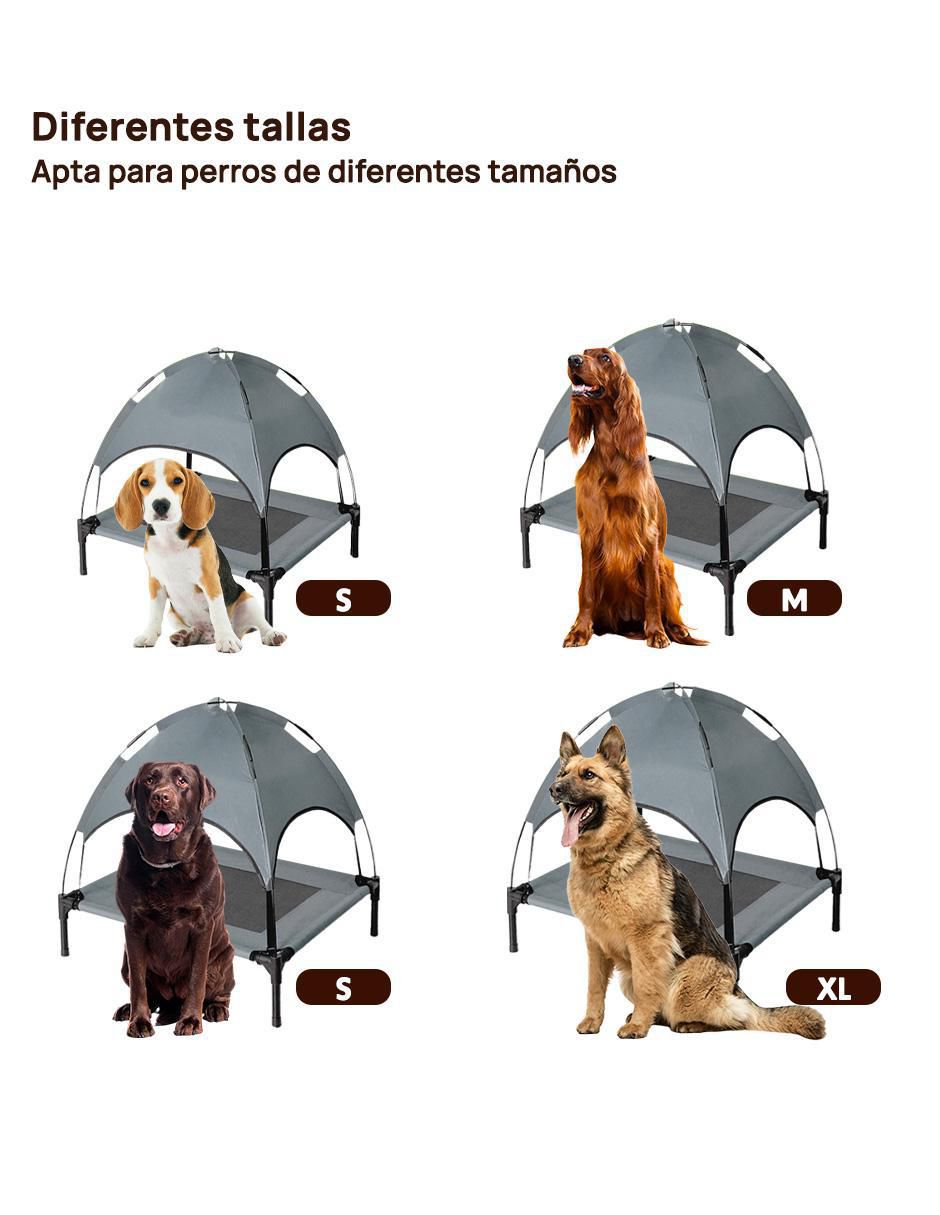 "casa para" perro level home