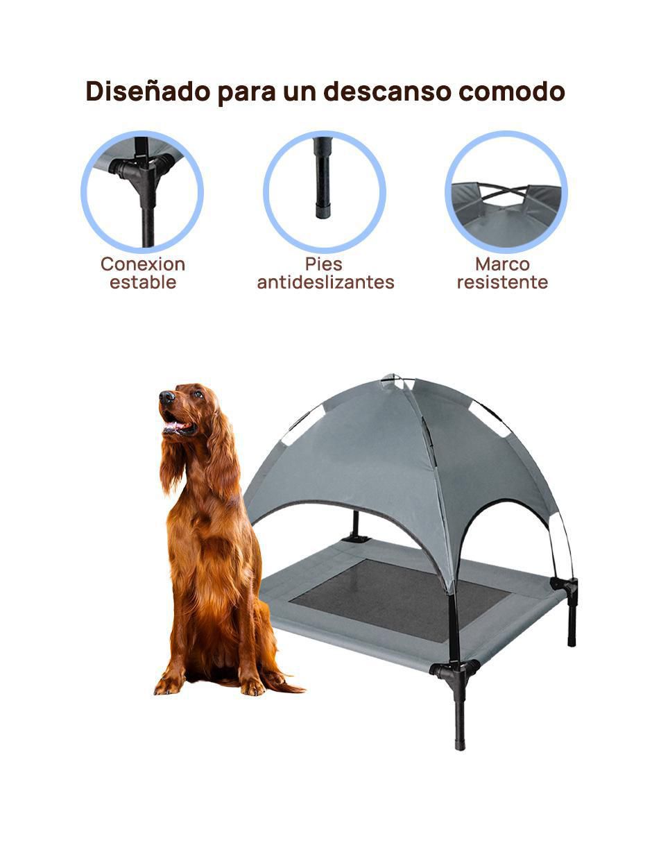"casa para" perro level home