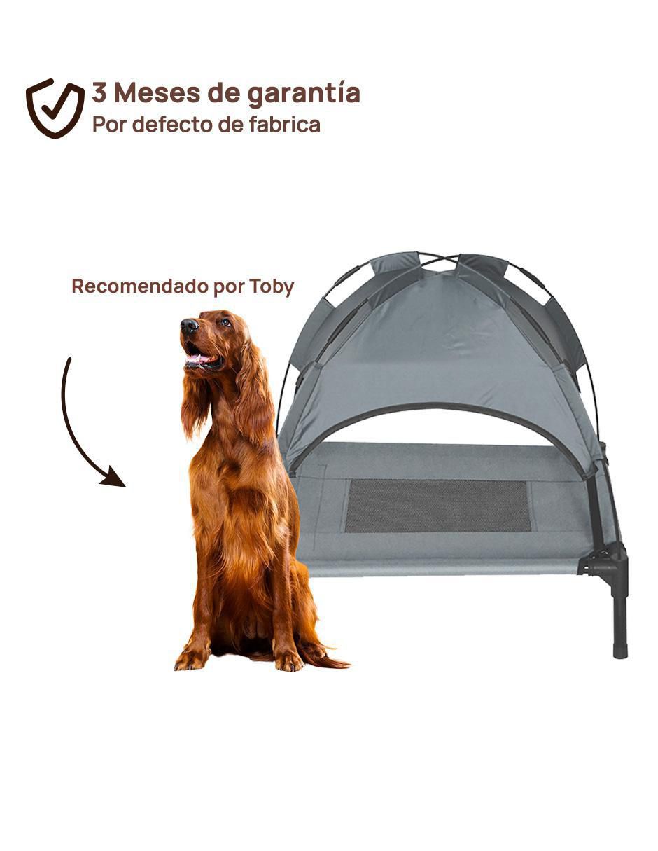 "casa para" perro level home