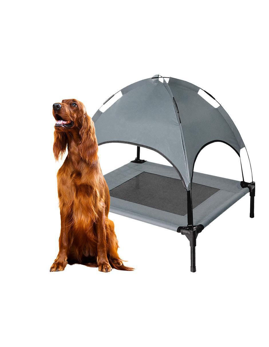 "casa para" perro level home