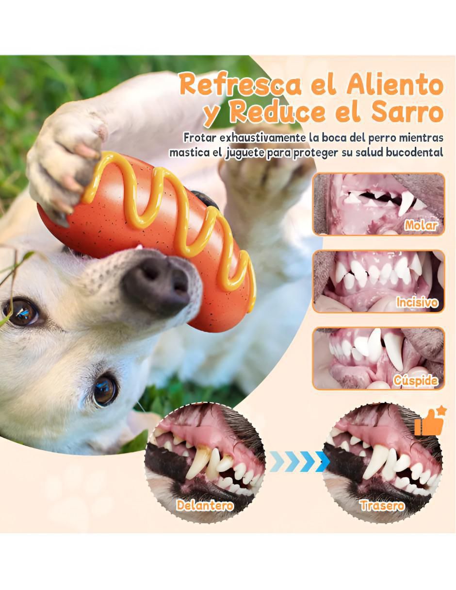 Juguete para perro 4