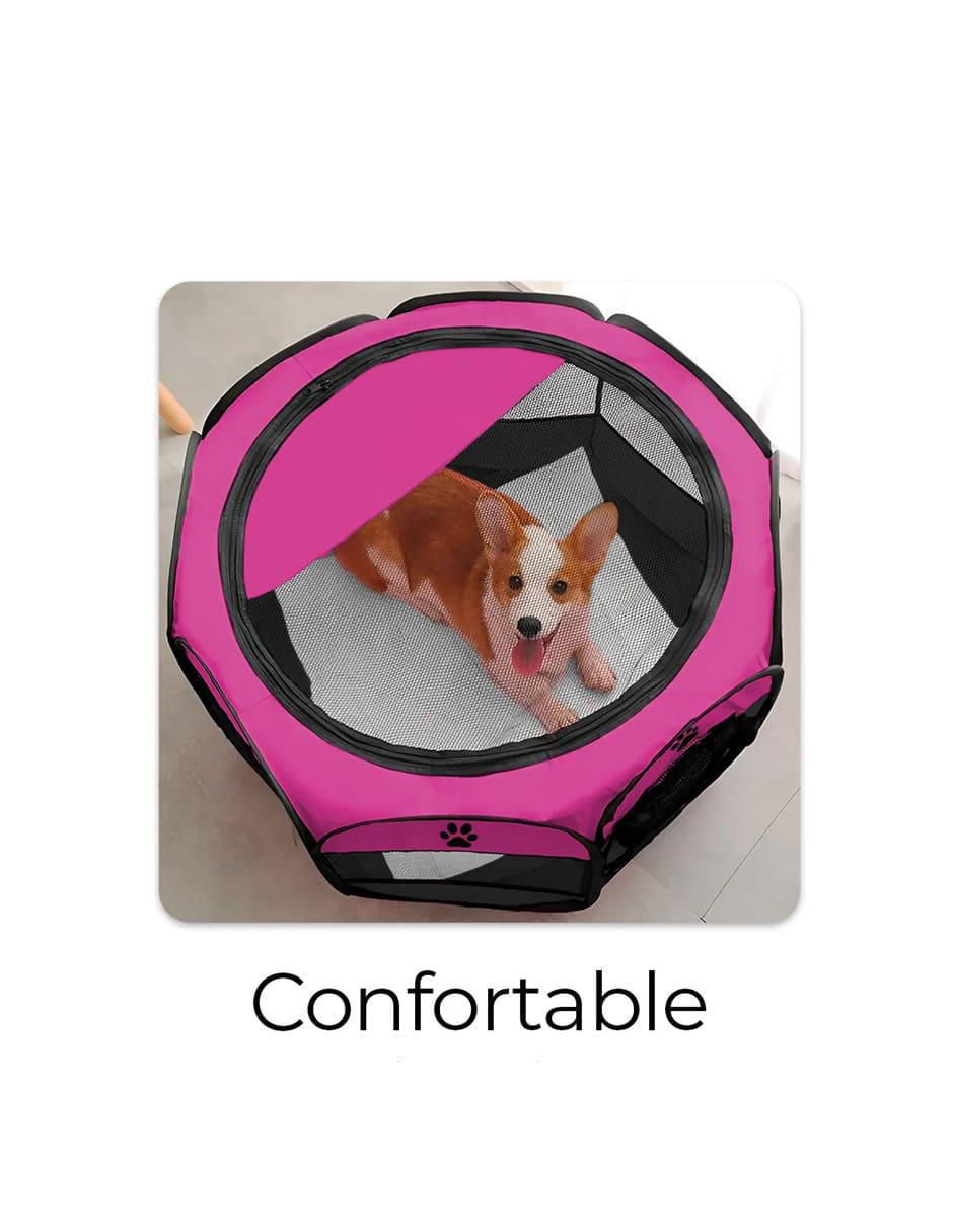Casa para perro y gato 3