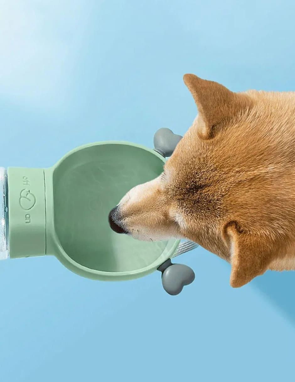 Bebedero transparente para perro 350 ml 2