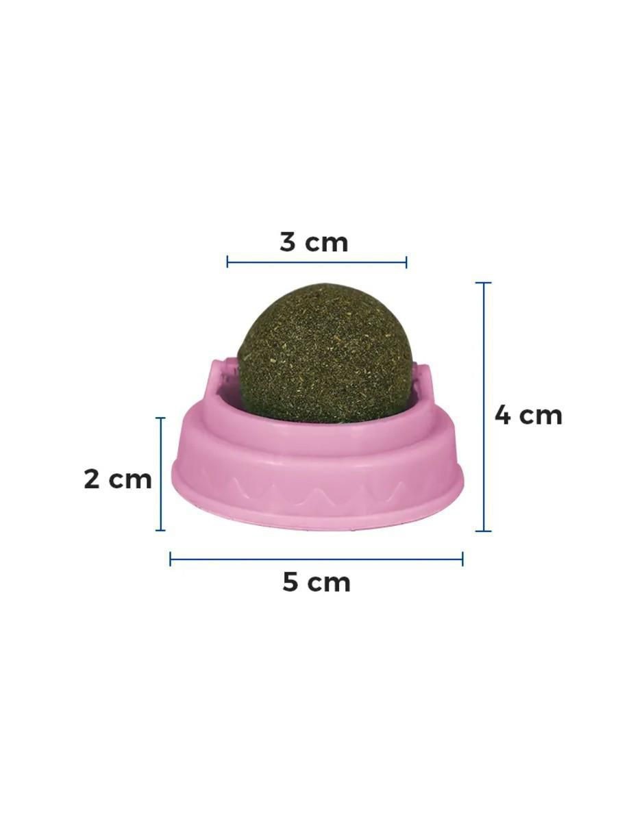 Catnip para gato 100 g 3