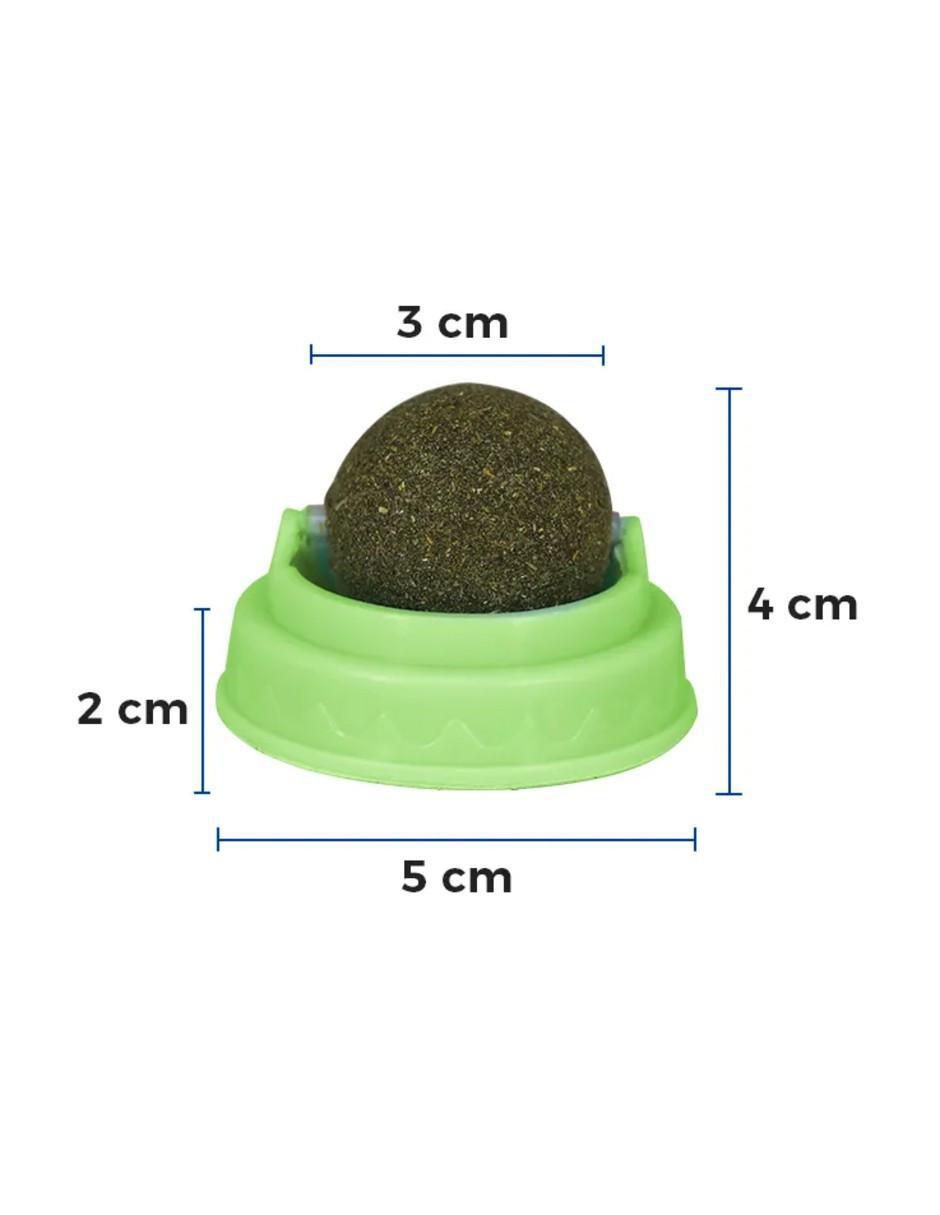 Catnip para gato 100 g 3