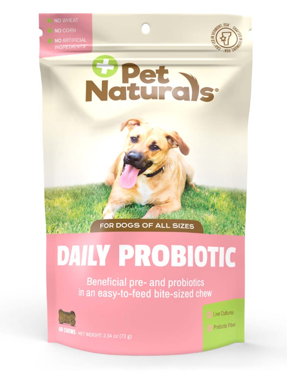 Probiótico para mascota probiótico Probiótico para mascota probiótico