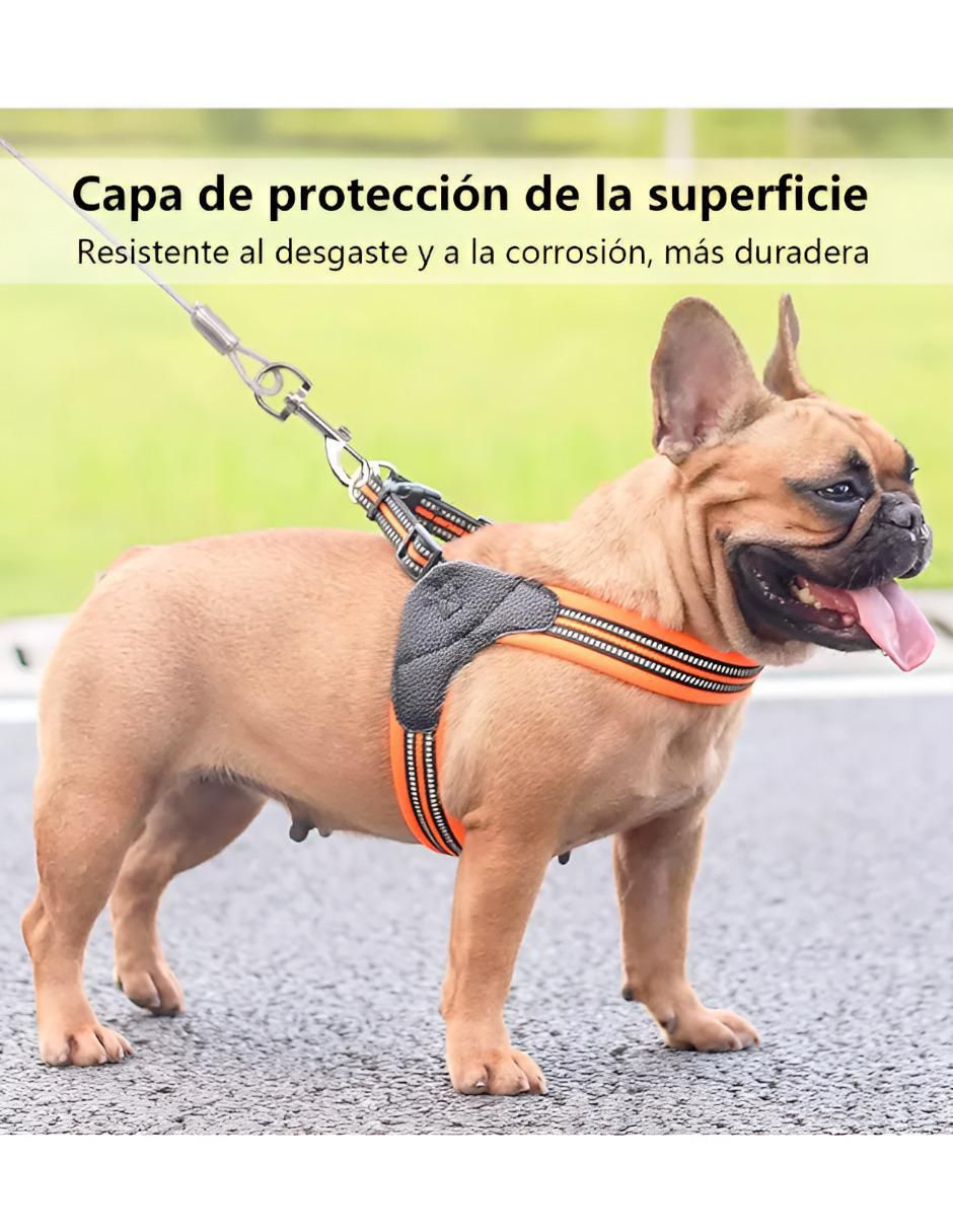 Correa de acero para perro 3