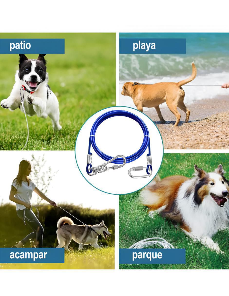 Correa para perro 3