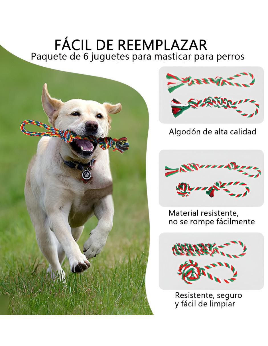 Kit de juguetes para perro 2