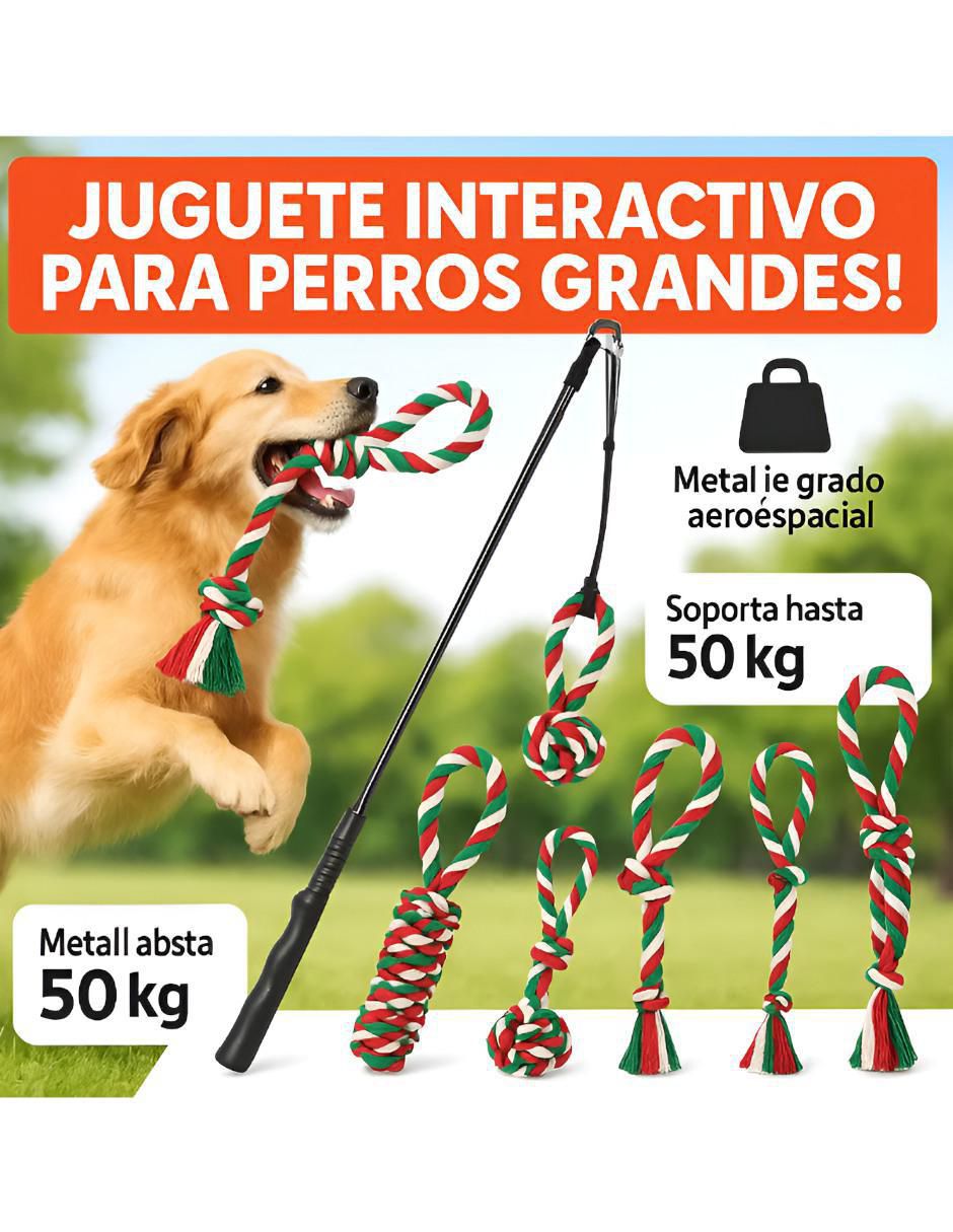 Kit de juguetes para perro 3